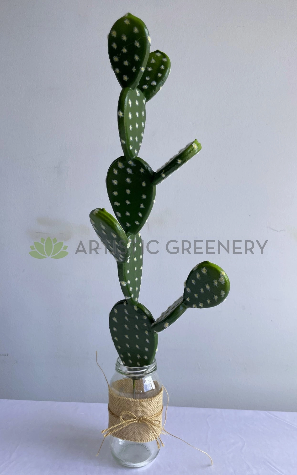 T0183 Pear Cactus 58cm