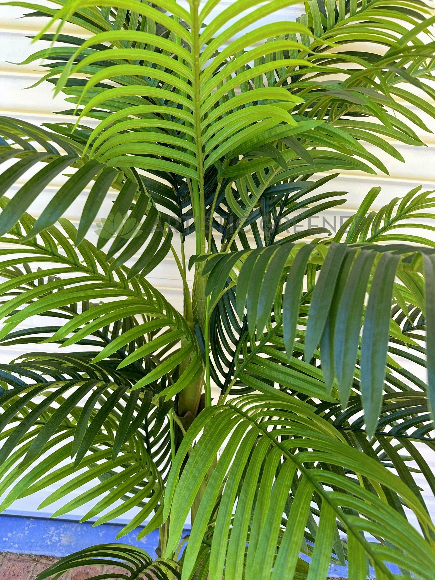 T0185 Cabada Palm 180cm / 210cm