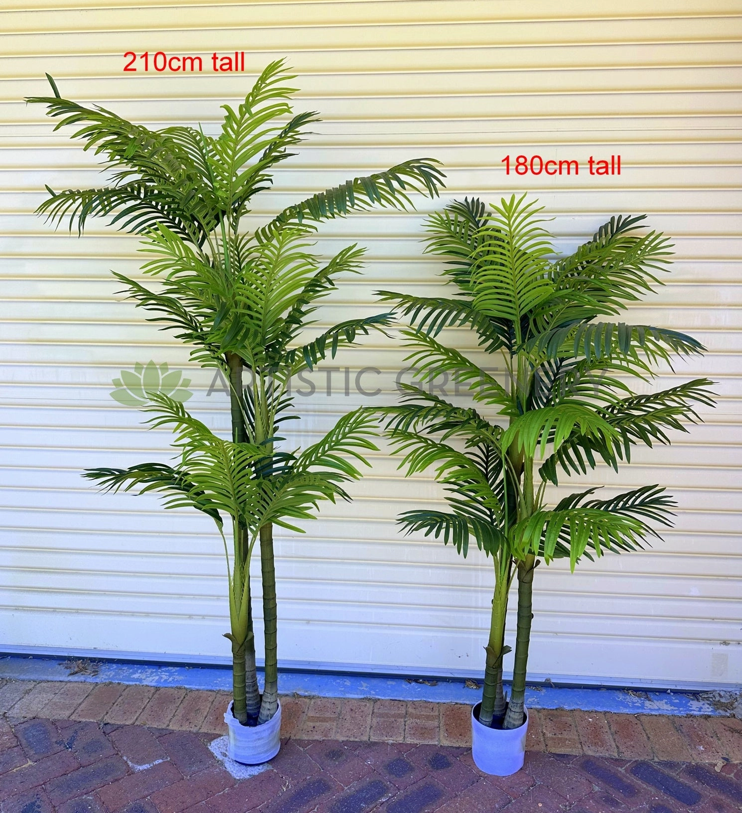T0185 Cabada Palm 180cm / 210cm