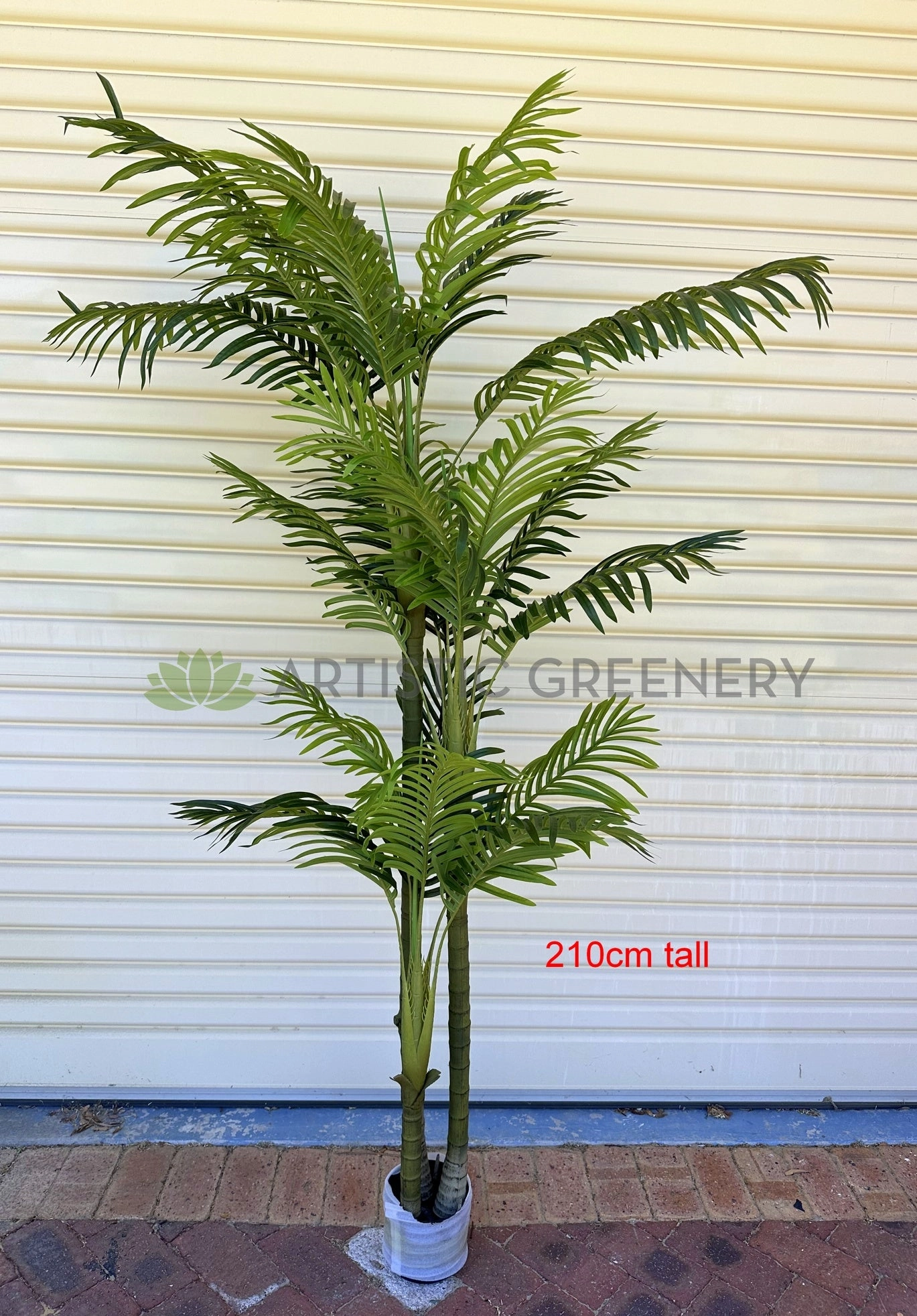 T0185 Cabada Palm 180cm / 210cm