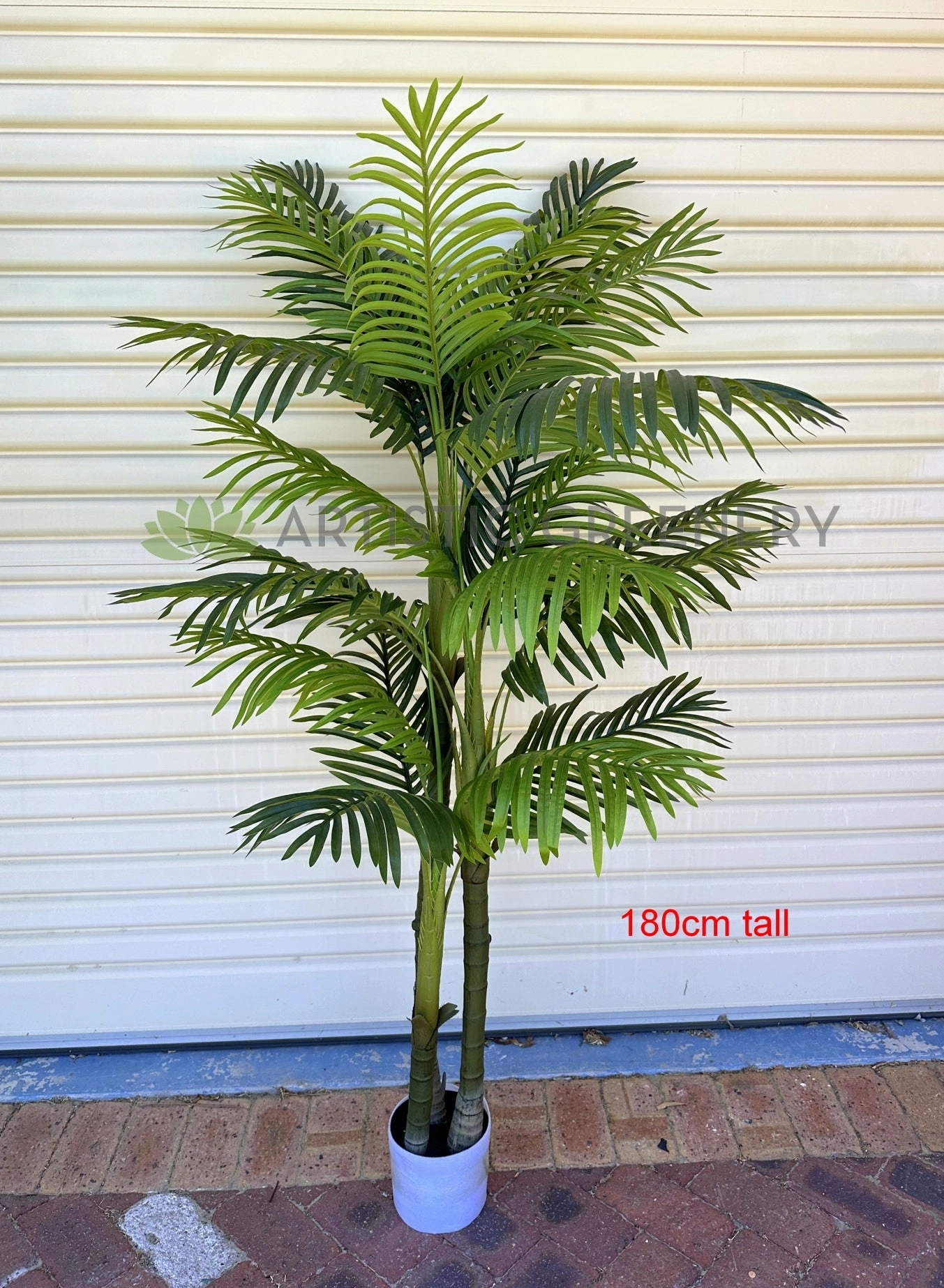 T0185 Cabada Palm 180cm / 210cm