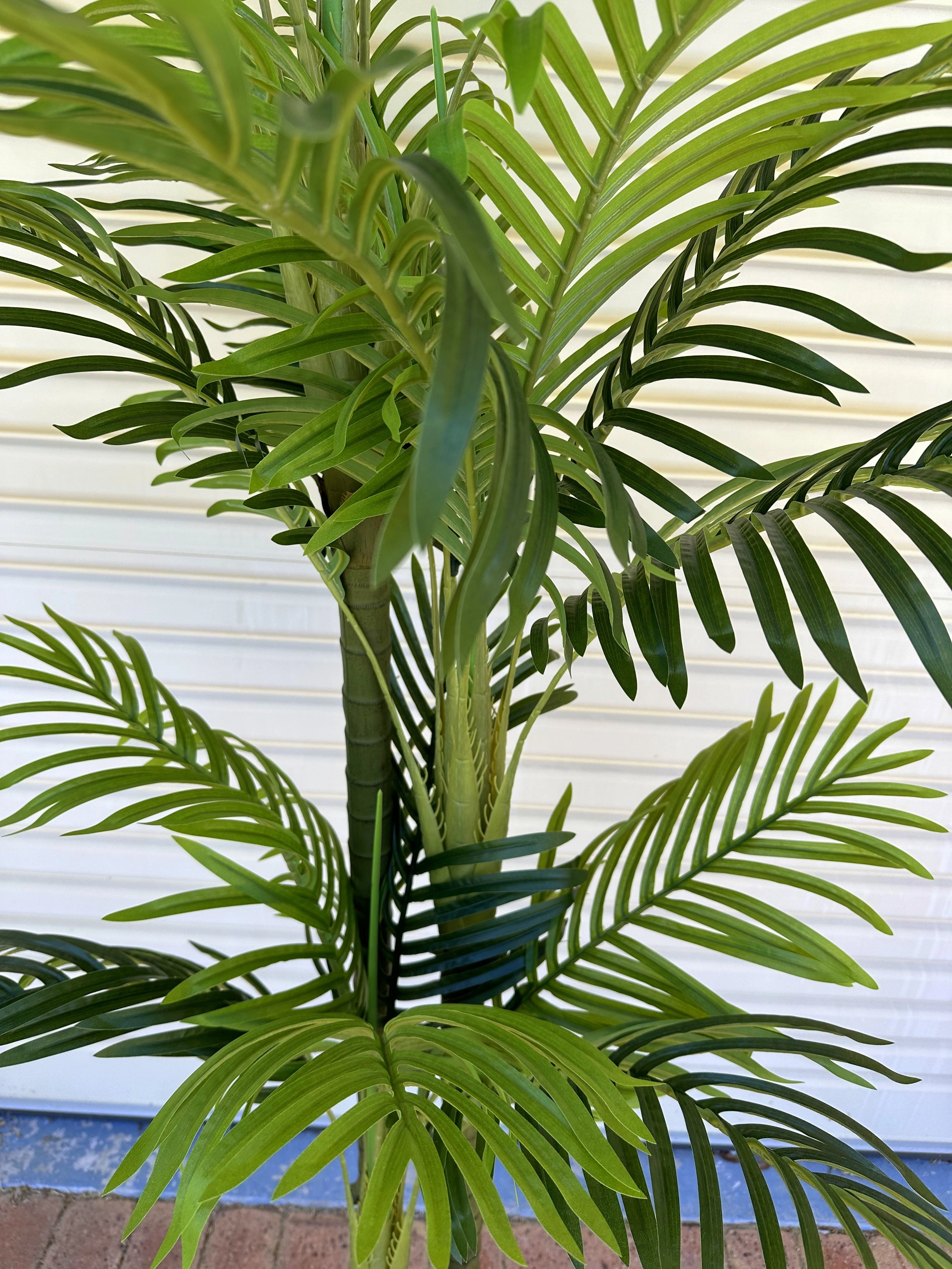 T0185 Cabada Palm 180cm / 210cm