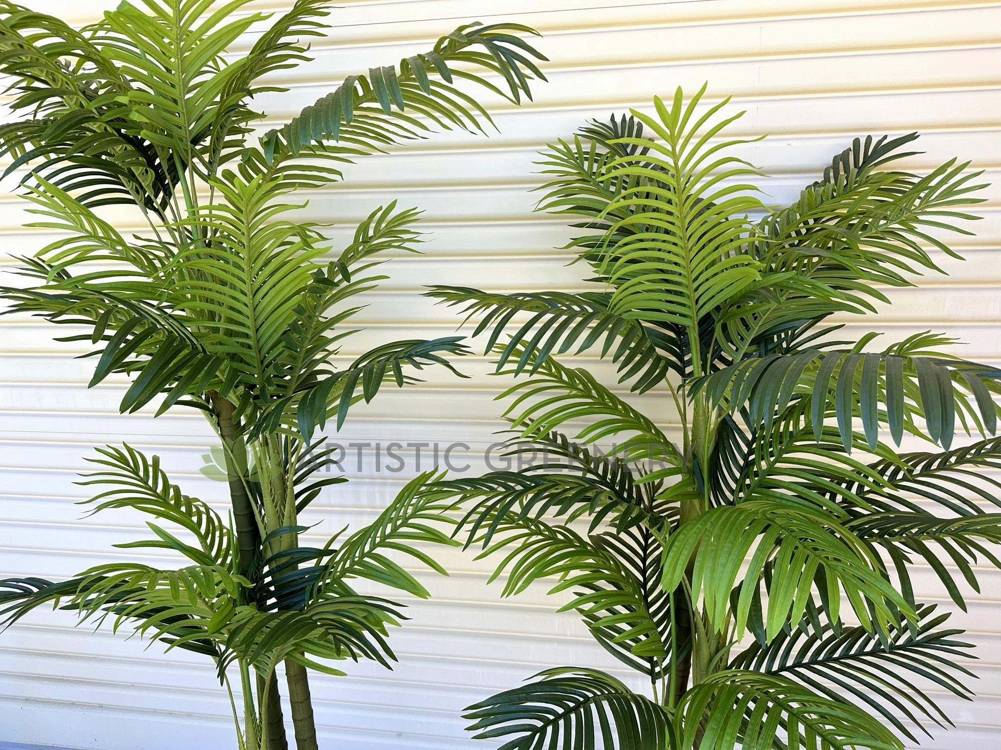 T0185 Cabada Palm 180cm / 210cm