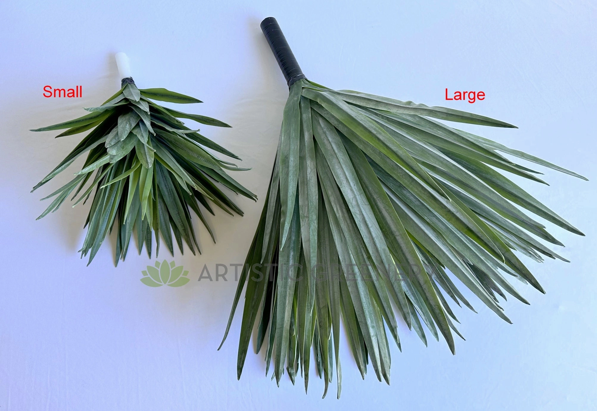 T0187 Agave / Angustifolia / Yucca 2 Sizes