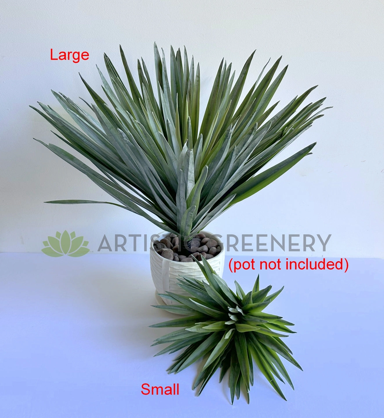 T0187 Agave / Angustifolia / Yucca 2 Sizes