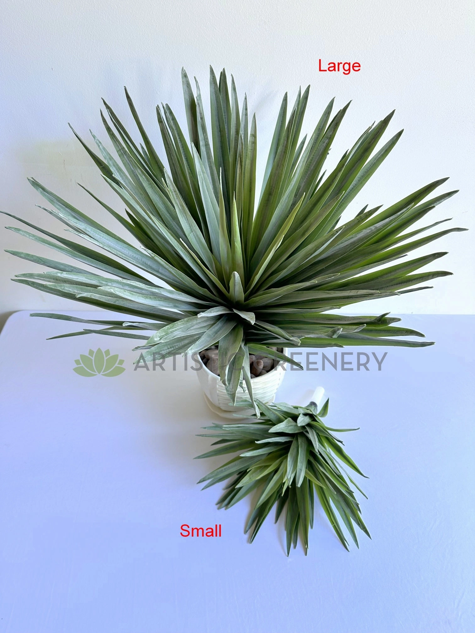 T0187 Agave / Angustifolia / Yucca 2 Sizes