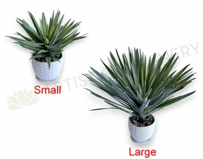 T0187 Agave / Angustifolia / Yucca 2 Sizes indoor plant stand  