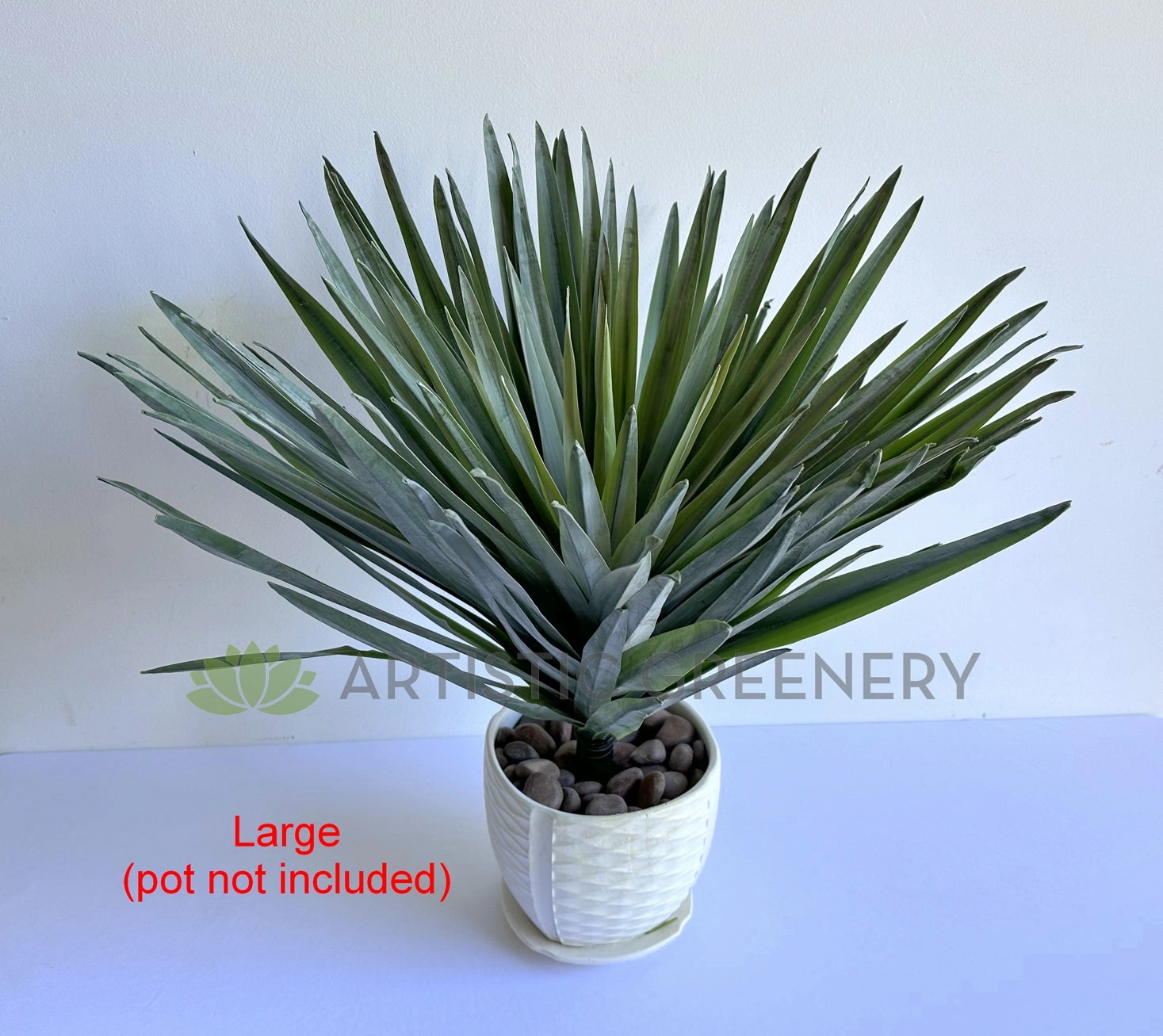 T0187 Agave / Angustifolia / Yucca 2 Sizes