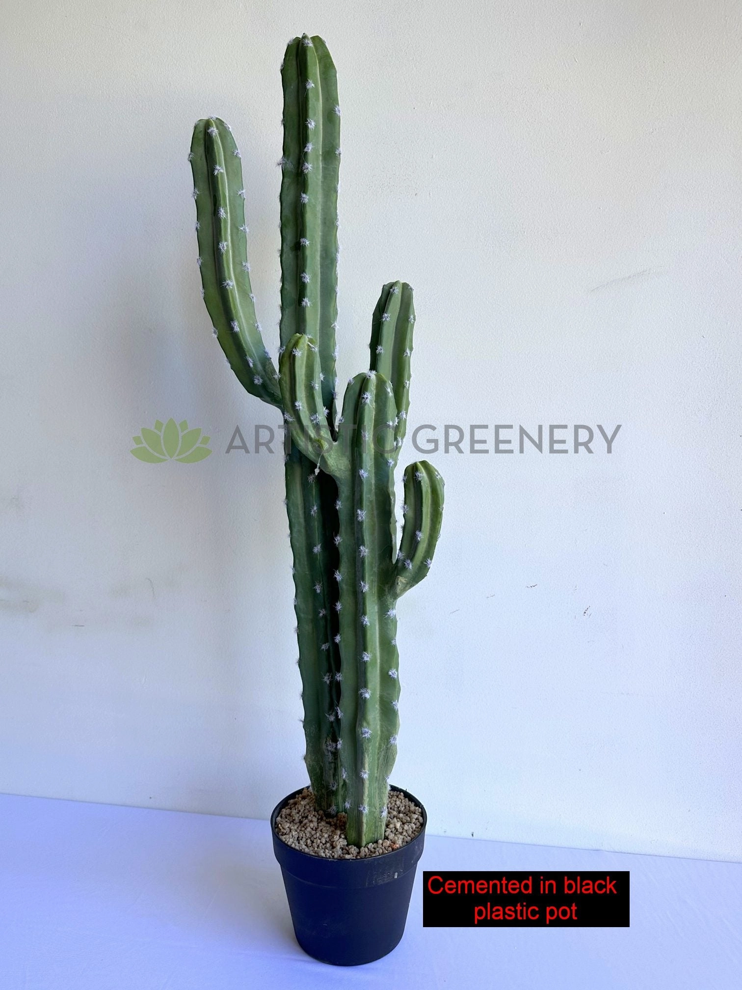 T0188 Cereus Jamacaru Cactus / Cardeiro 101cm