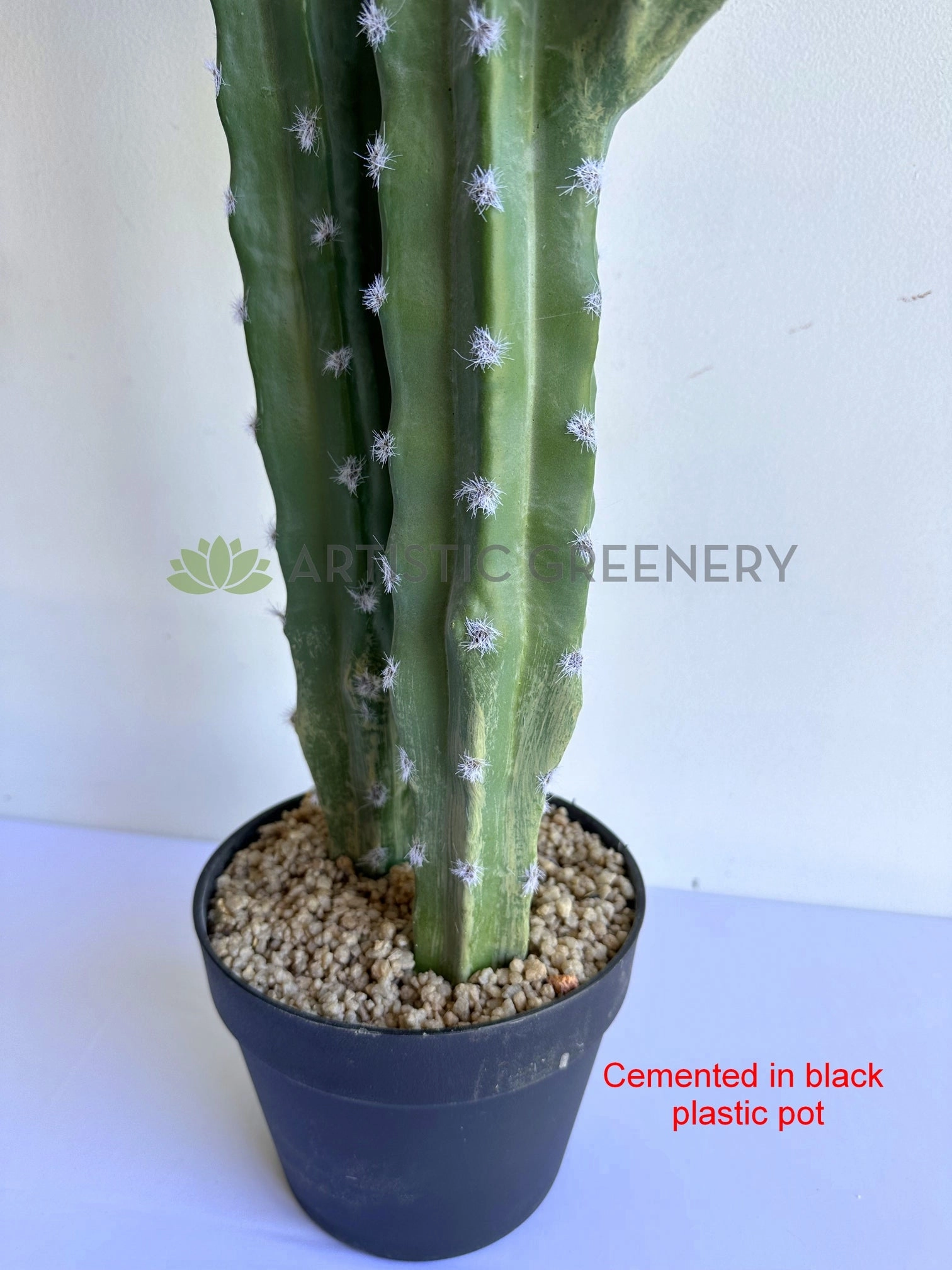 T0188 Cereus Jamacaru Cactus / Cardeiro 101cm