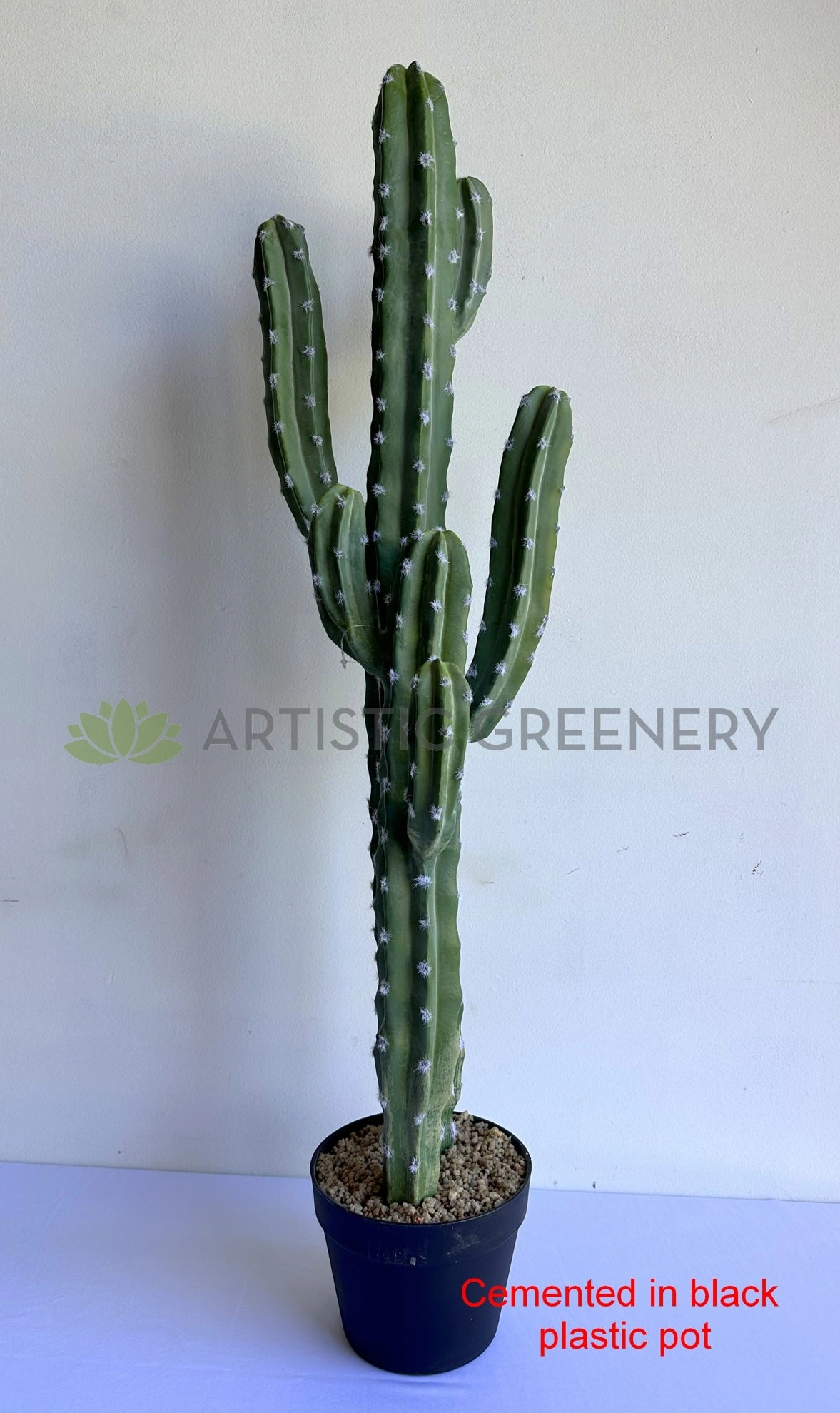 T0188 Cereus Jamacaru Cactus / Cardeiro 101cm