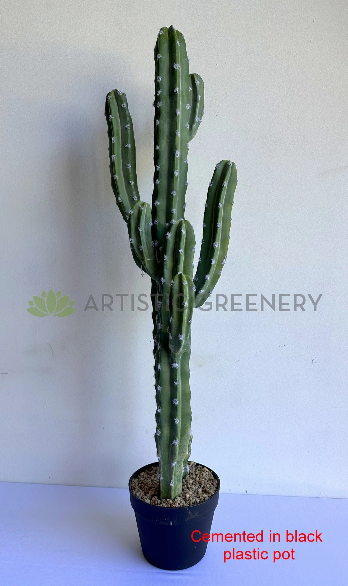 T0188 Cereus Jamacaru Cactus / Cardeiro 101cm