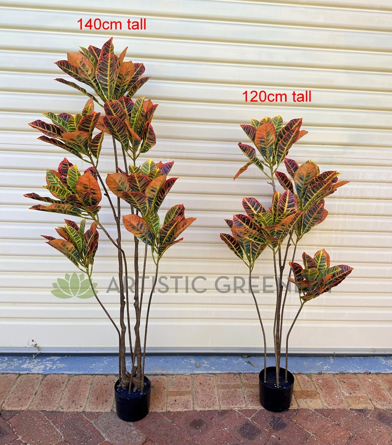 T0189 Red Croton Tree 2 Sizes 120cm/ 140cm
