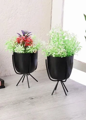 Table Top Planter shade perennial  