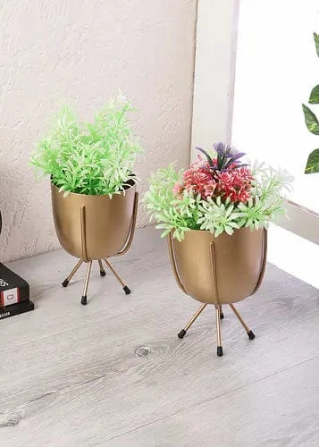 Table Top Planter