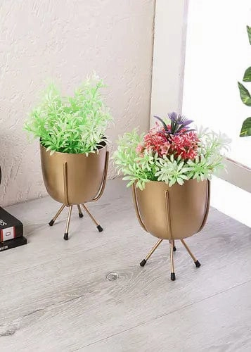 Table Top Planter