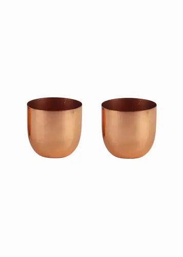 Table Top Planter with Copper Plating(Set of 2)