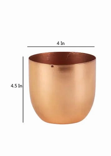 Table Top Planter with Copper Plating(Set of 2)