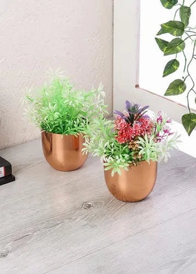 Table Top Planter with Copper Plating(Set of 2) shade perennial  