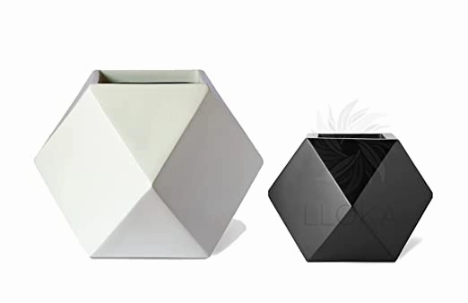 Table Top Pots & Planters Combo GeoE_01 (Large in White & Small in Black) classic flowerpot  