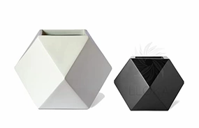 Table Top Pots & Planters Combo GeoE_01 (Large in White & Small in Black) shade perennial  