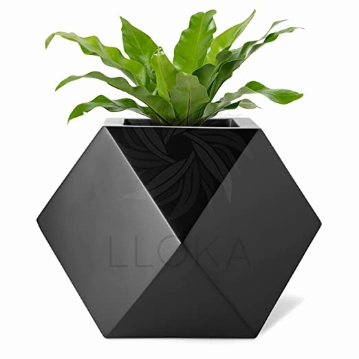 Table Top Pots & Planters Combo GeoE_01 (Large in White & Small in Black)