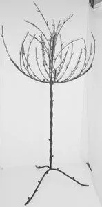 TALL TREE dried flower branch  
