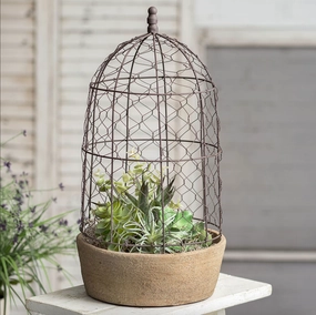Tall Chicken Wire Cloche w/Terra Cotta Pot outdoor greenery  