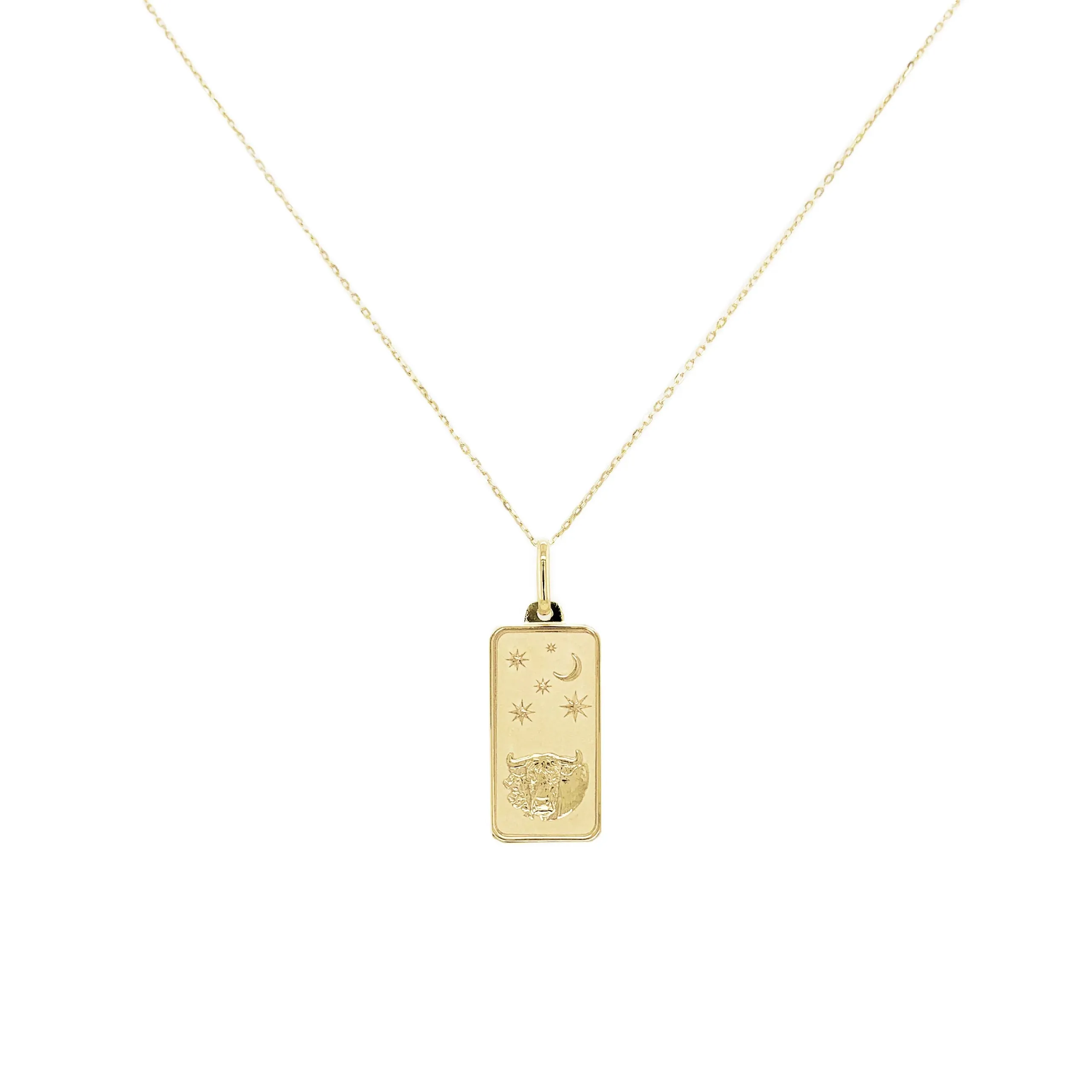 Taurus Zodiac Dog Tag Necklace in 14K Yellow Gold