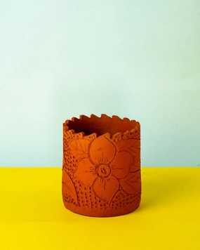Terracotta Designer Planter hanging green plant  