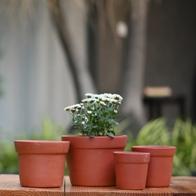 Terracotta Gamla/Vase Pot for Plants classic flowerpot  