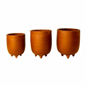 Terracotta Planter - Set of 3 cactus succulent plant  