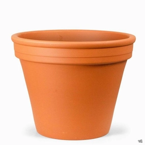 Terracotta Pots - Standard German Red Clay plant seeds  