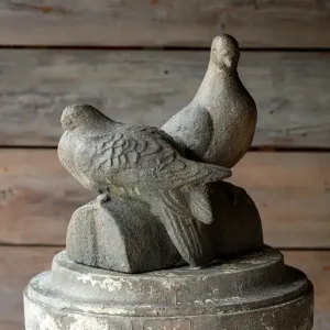 Terrasse Pigeons Statue dried flowers  