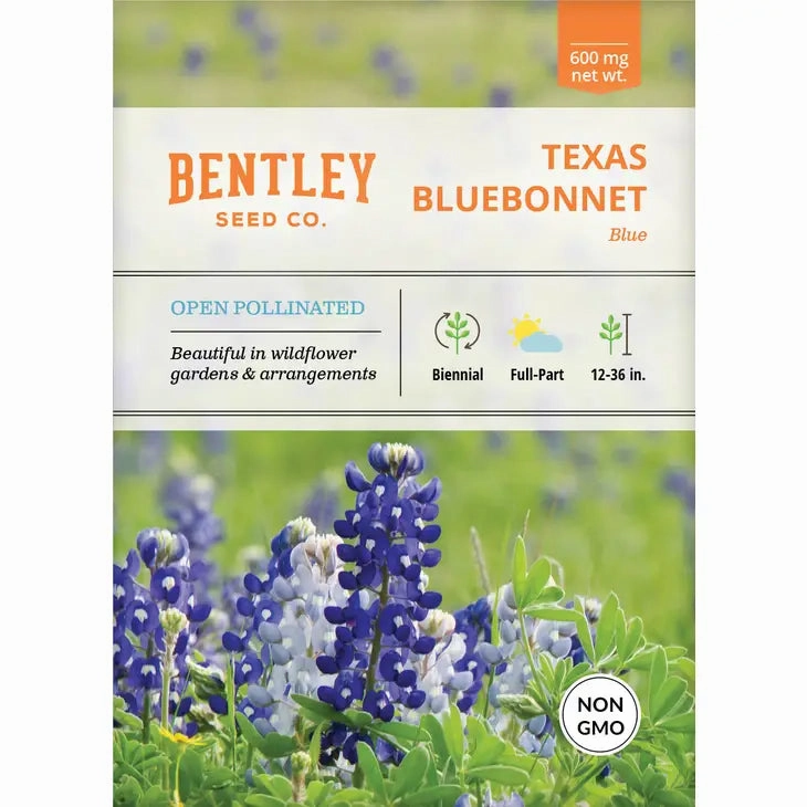 Texas Bluebonnet-Lupinus texensis Seed Packet floating plant shelf  