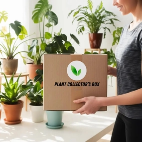 The Plant Collector's Box large flower pot  