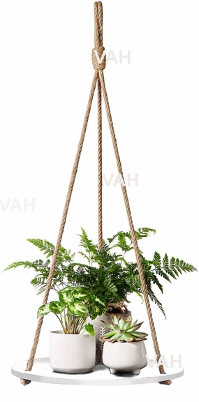 Tier-1 Round Wood Floating Shelves With Rope cactus succulent plant  