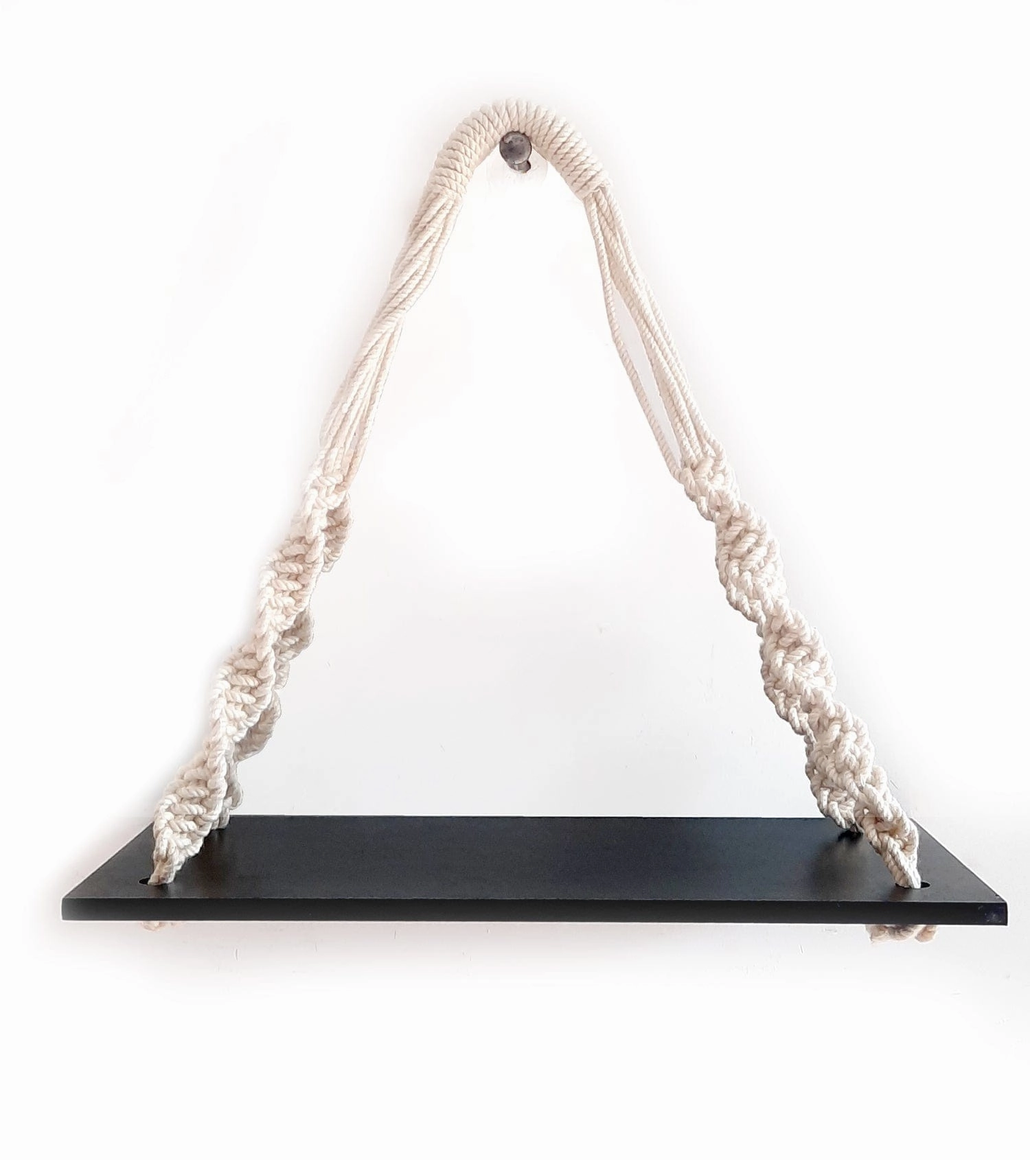 Tier 1 Wood Floating Black Wall Hanging Shelves With Curved Ropes cactus succulent plant  
