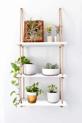 Tier-3 Rectangle Wall Hanging Shelves With Curved Rope cactus succulent plant  