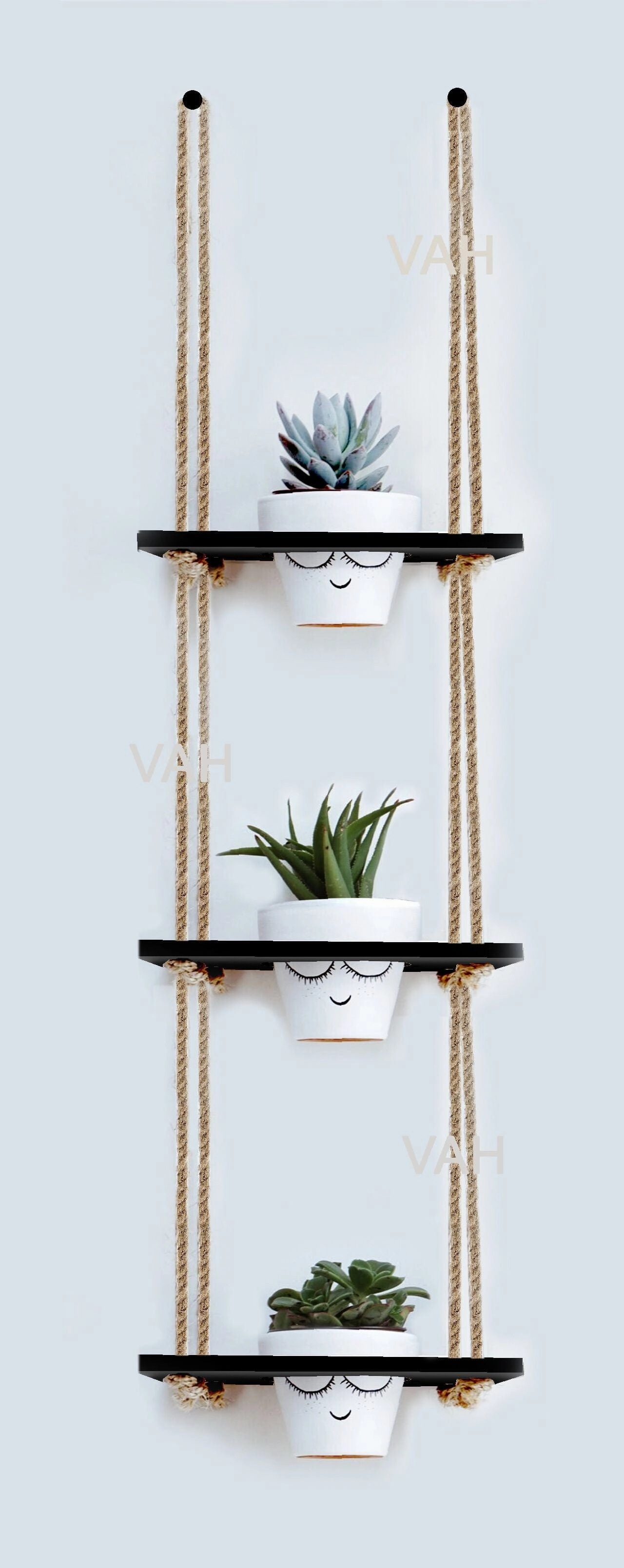 Tier-3 Wooden Hanging Planter Shelf, Black cactus succulent plant  