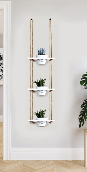 Tier-3 Wooden Hanging Planter Shelf, White cactus succulent plant  