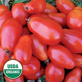 Tomato, Martinos Roma Organic Seeds floating plant shelf  