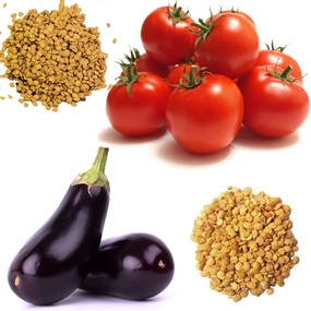 Tomatoes and Bringal Seeds small bud vase  