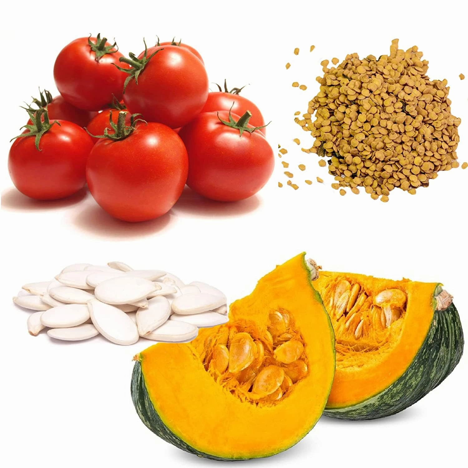 Tomatoes and Pumpkin Seeds small bud vase  