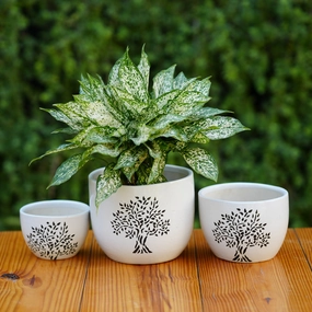 Tree Printed Ceramic Planter cactus succulent plant  