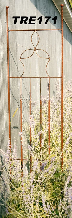 TRELLIS WITH DBL BALLS dried flower branch  