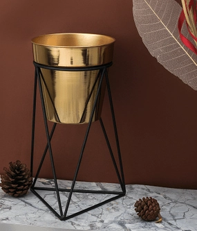 Triad Pot Stand in Gold & Black cactus succulent plant  
