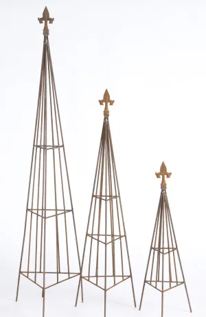 Triangle Topiaries Set of 3 dried flower branch  