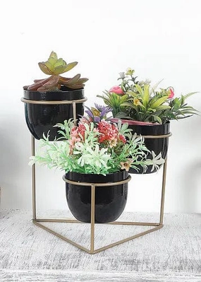 Triangle Stand Planter (Gold & Black) shade perennial  