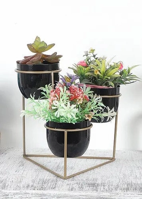 Triangle Stand Planter (Gold & Black) hanging green plant  